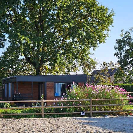 Houten Huisje Tussen Paarden Nieuwerkerken المظهر الخارجي الصورة