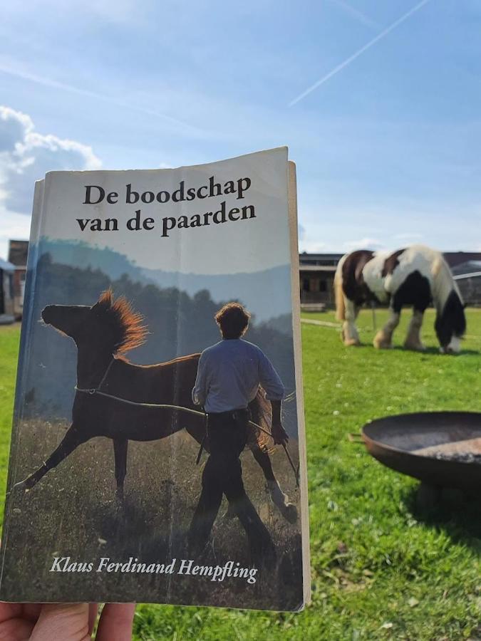 Houten Huisje Tussen Paarden Nieuwerkerken المظهر الخارجي الصورة