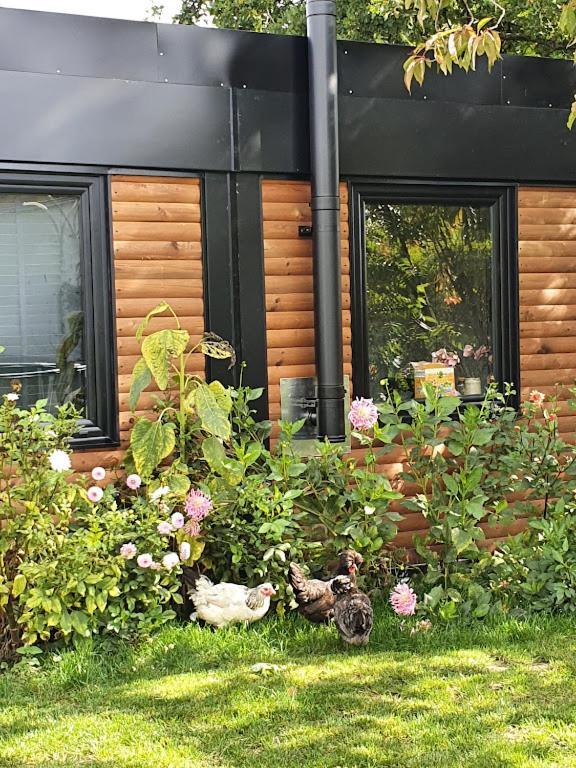 Houten Huisje Tussen Paarden Nieuwerkerken المظهر الخارجي الصورة