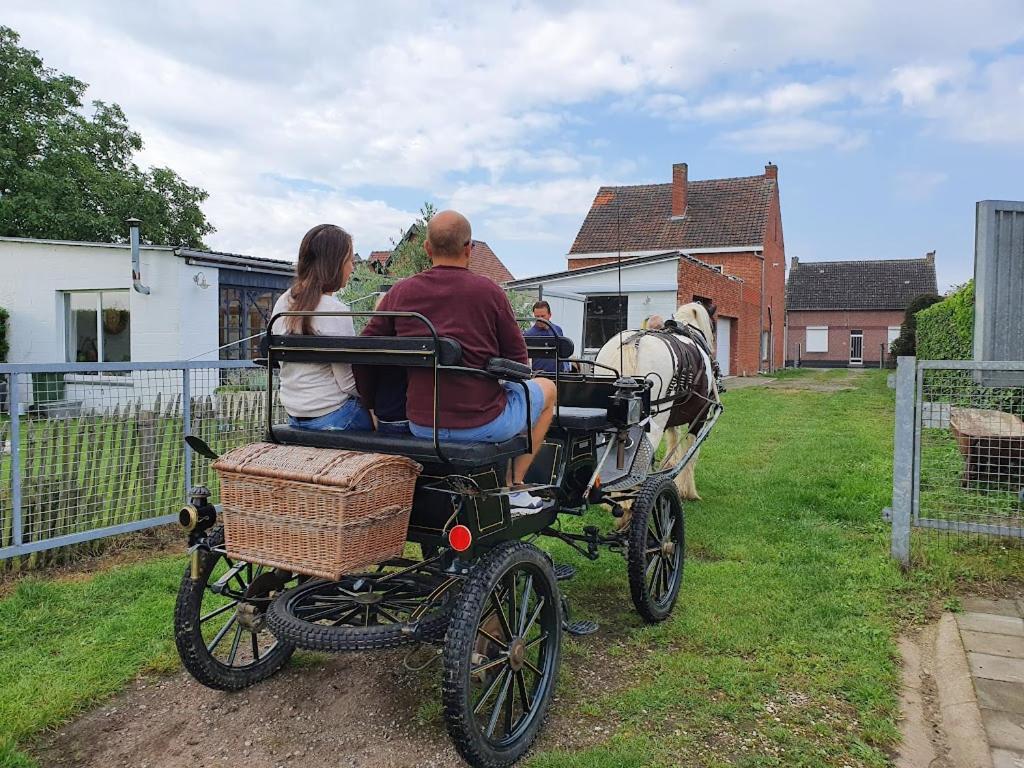 Houten Huisje Tussen Paarden Nieuwerkerken المظهر الخارجي الصورة