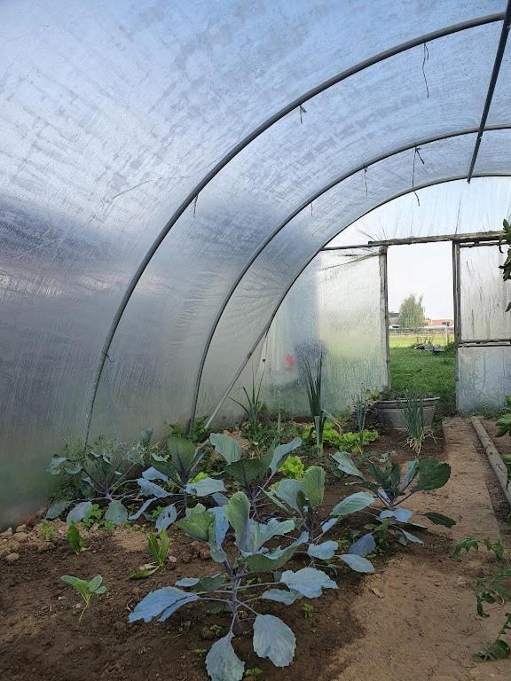 Houten Huisje Tussen Paarden Nieuwerkerken المظهر الخارجي الصورة