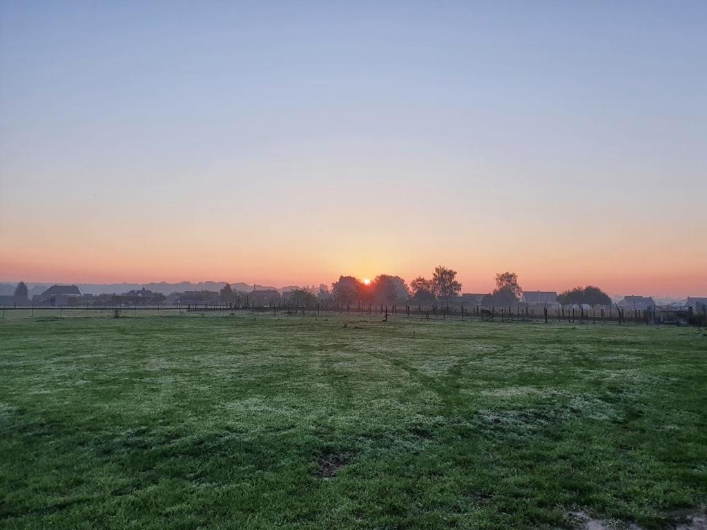 Houten Huisje Tussen Paarden Nieuwerkerken المظهر الخارجي الصورة