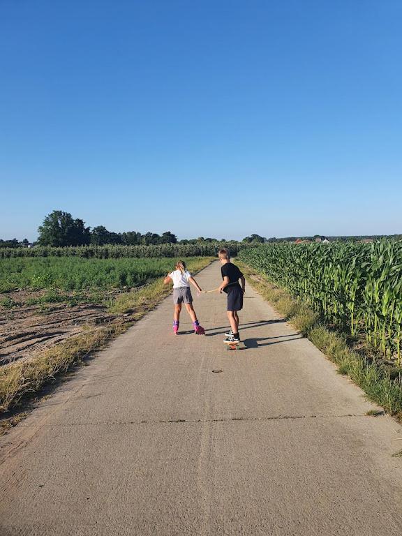 Houten Huisje Tussen Paarden Nieuwerkerken المظهر الخارجي الصورة