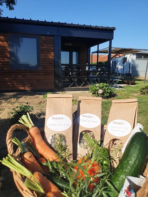 Houten Huisje Tussen Paarden Nieuwerkerken المظهر الخارجي الصورة