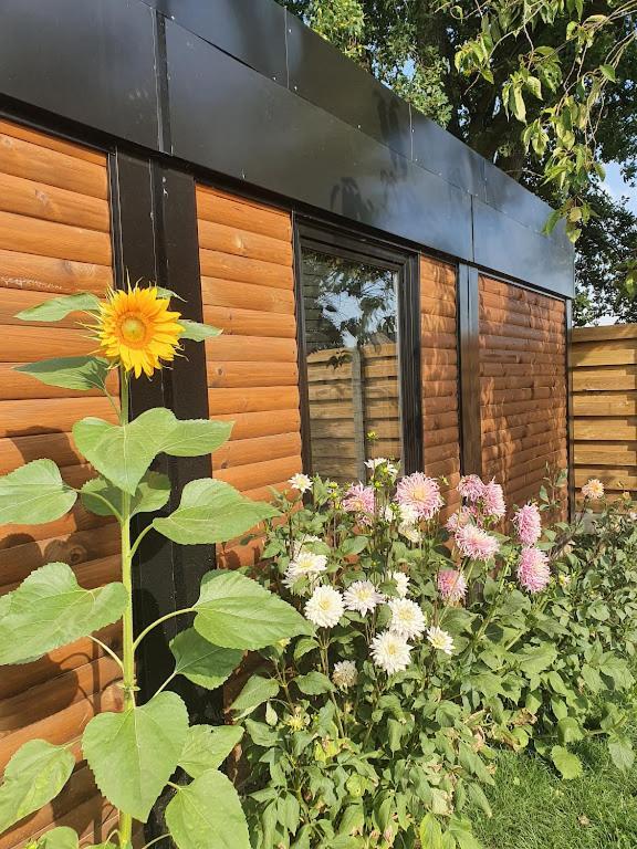 Houten Huisje Tussen Paarden Nieuwerkerken المظهر الخارجي الصورة