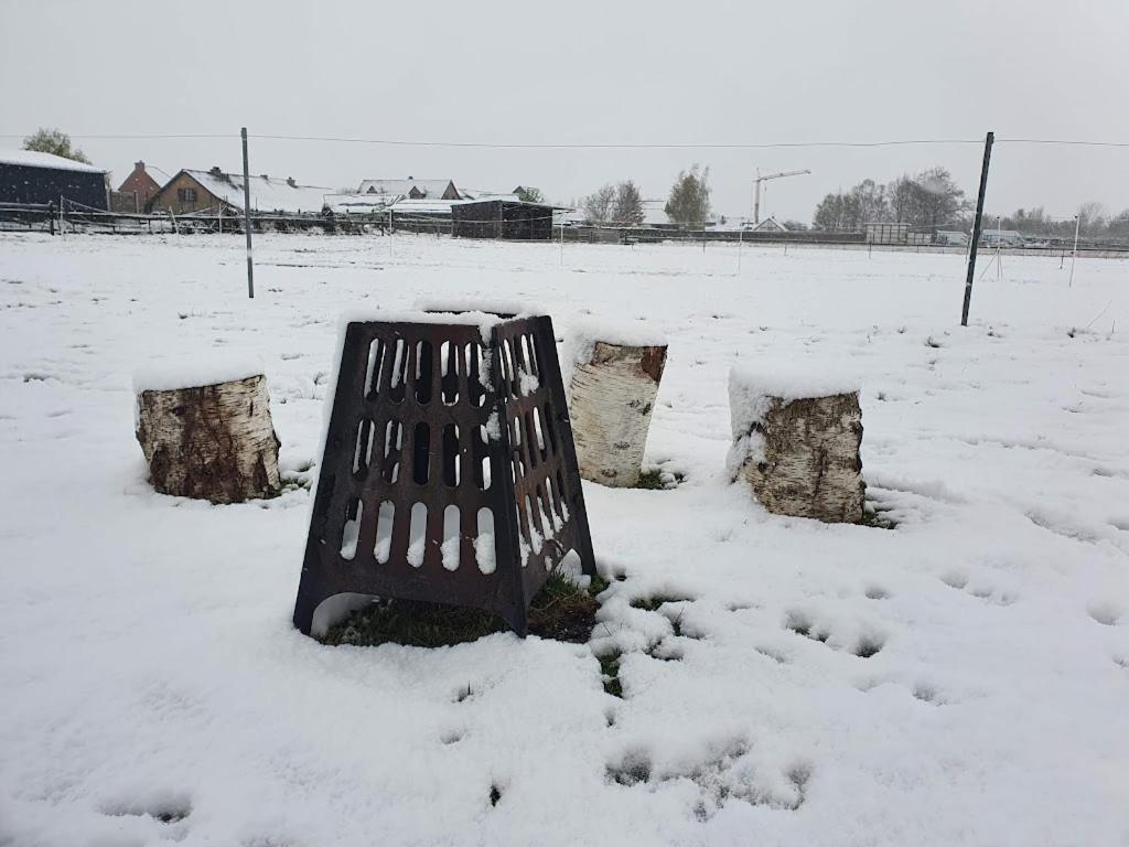 Houten Huisje Tussen Paarden Nieuwerkerken المظهر الخارجي الصورة