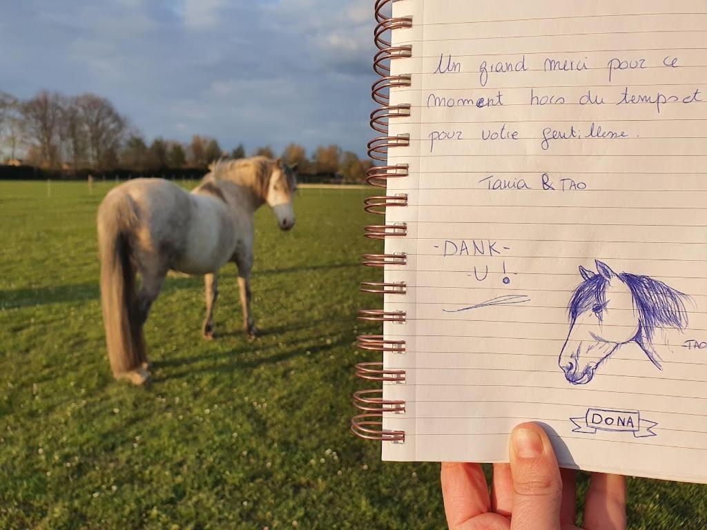 Houten Huisje Tussen Paarden Nieuwerkerken المظهر الخارجي الصورة