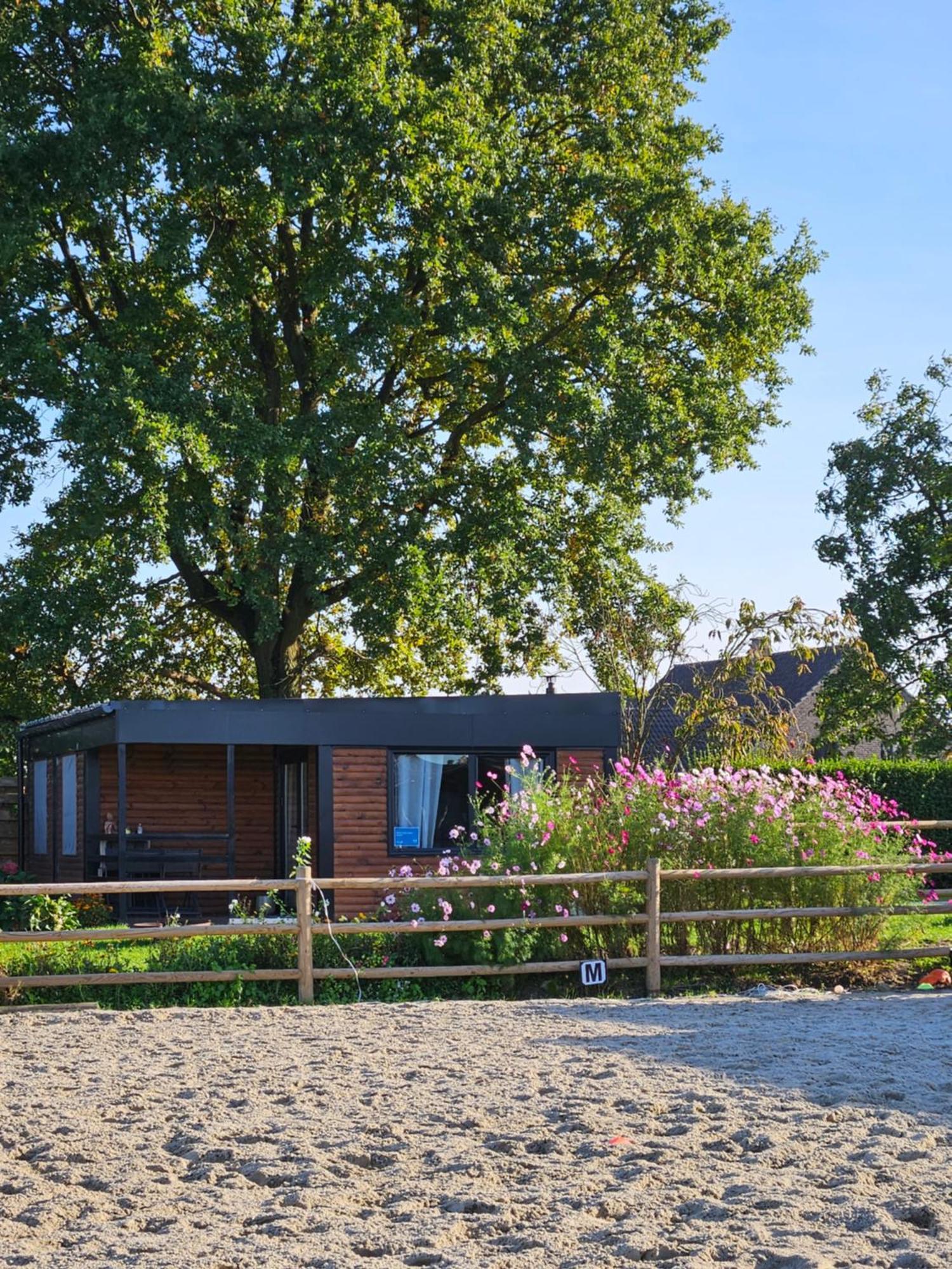 Houten Huisje Tussen Paarden Nieuwerkerken المظهر الخارجي الصورة