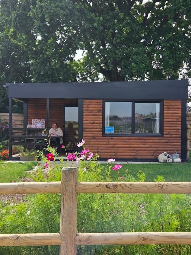 Houten Huisje Tussen Paarden Nieuwerkerken المظهر الخارجي الصورة